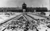 Porte d'entrée du camp de concentration d’Auschwitz-Birkenau [janvier 1945]. (AIPN)
