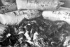 Amoncellement de sacs renfermant des cheveux de femmes tuées dans le camp de concentration d’Auschwitz-Birkenau. Les cheveux étaient emballés par les Allemands et préparés pour être expédiés et utilisés à des fins industrielles [1945, après la libération