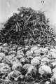 Majdanek (camp de concentration de Lublin) – crânes et ossements de victimes extraits au cours de travaux d'exhumation [automne 1944]. (AIPN)