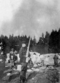Exécutions de Juifs à Ponary ; au premier plan – un policier lituanien. (AIPN)